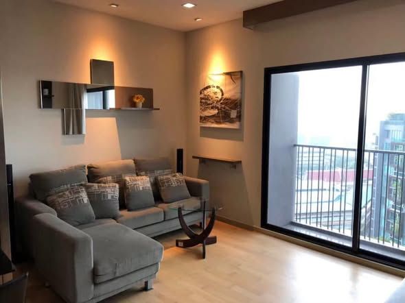 Noble Reveal - Image 2