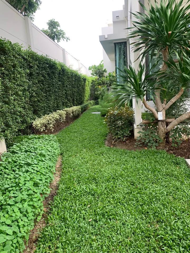 uploads/224782b1-cf00-4933-b11b-a670474fdf77/21d13337-73aa-4be9-9f66-f1169c387bcc