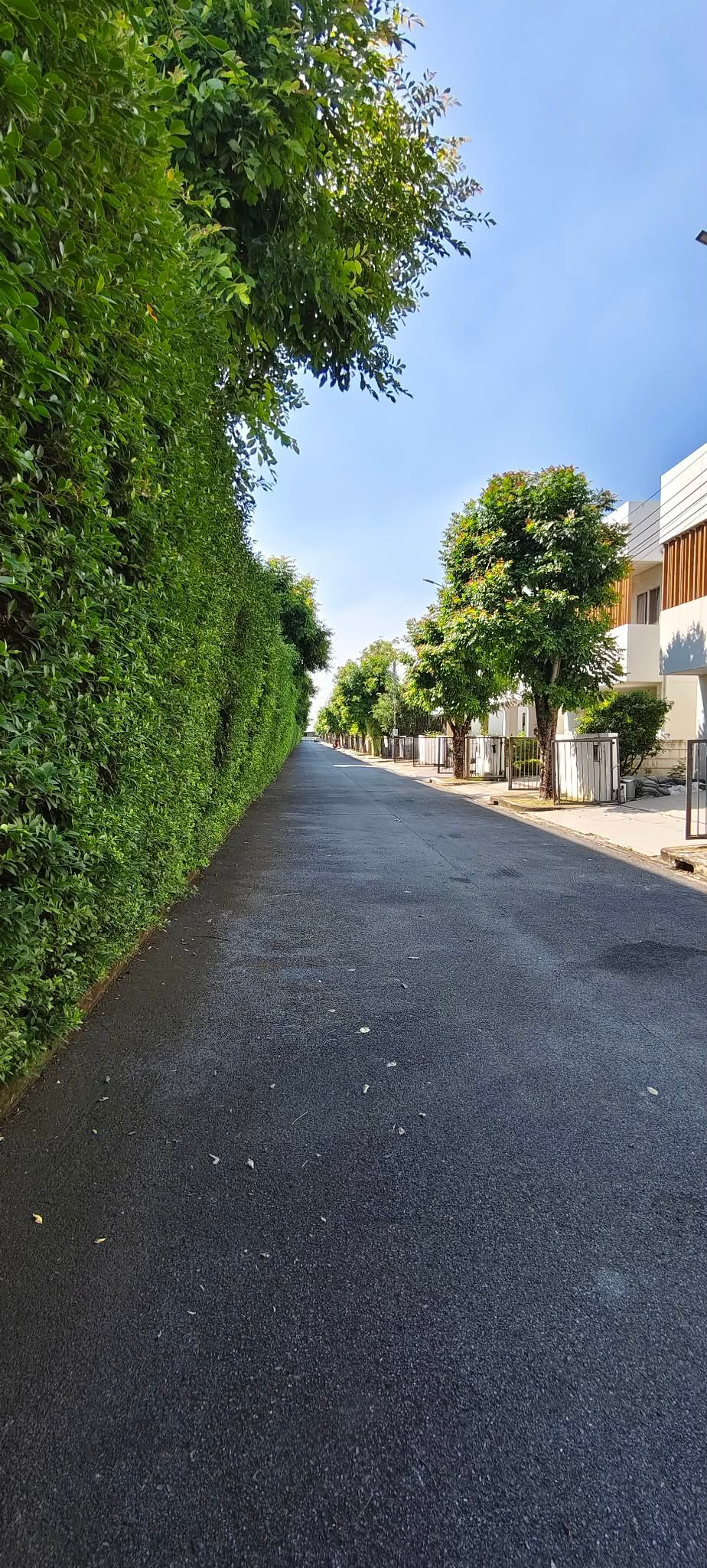 4 卧室 独立房屋 出租 在  - Image 26