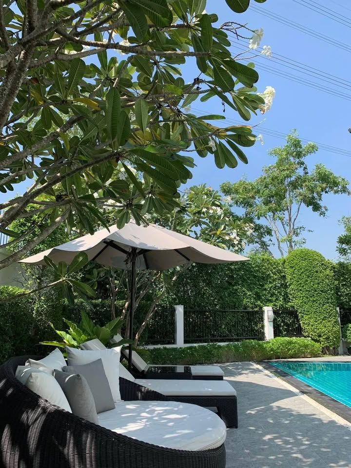 Blue Lagoon 2 - Image 16