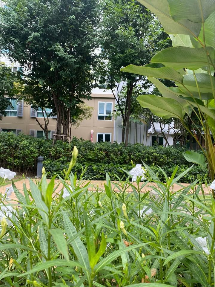 uploads/224782b1-cf00-4933-b11b-a670474fdf77/446ad5f9-5167-4898-a79a-6b3803f59898