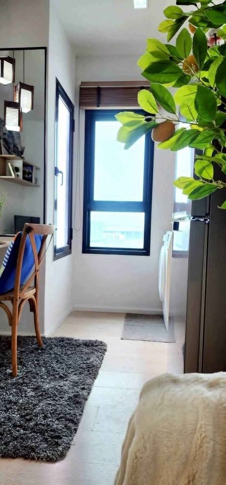 1 卧室 公寓 出租 在  - Image 12