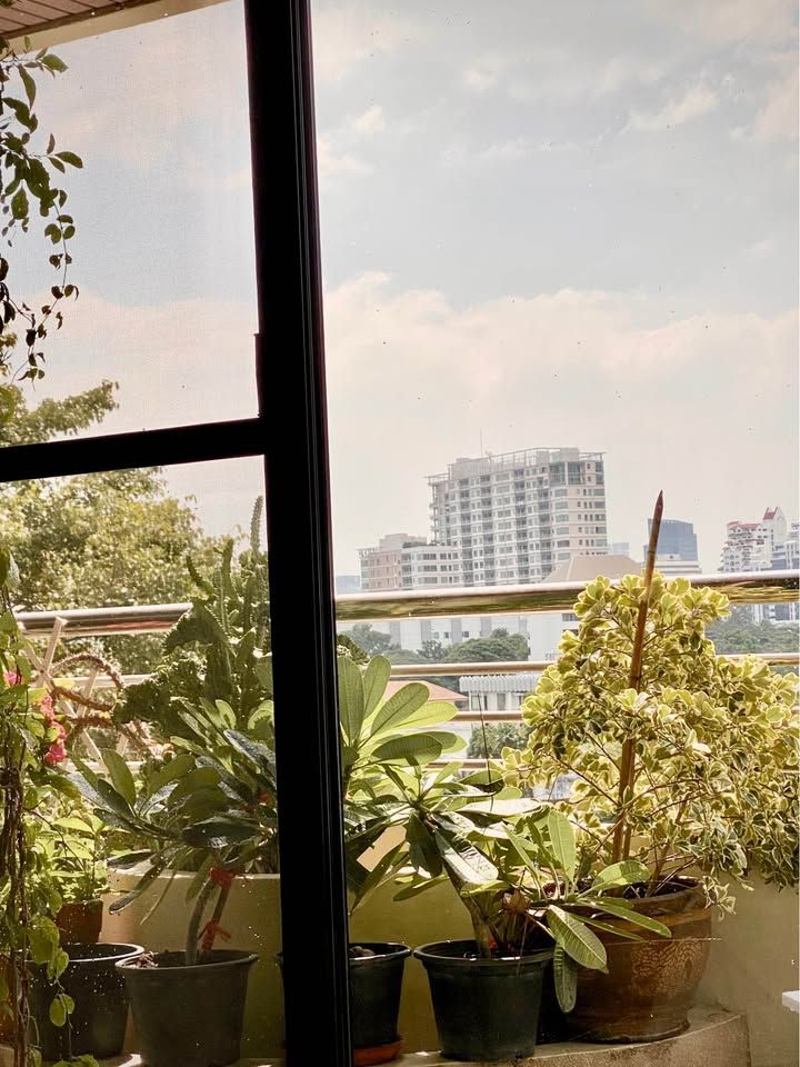 Supreme Ville - Image 14