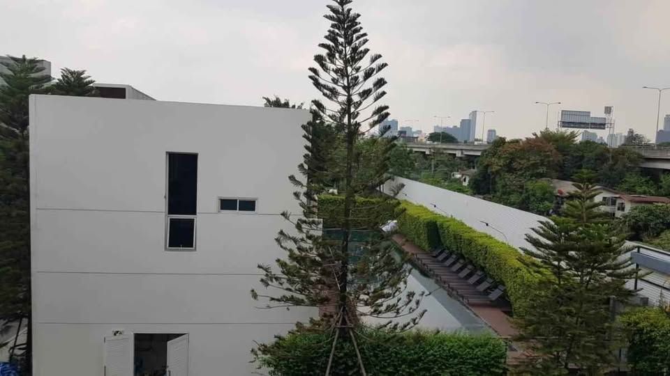 Arden Phatthanakan - Image 48