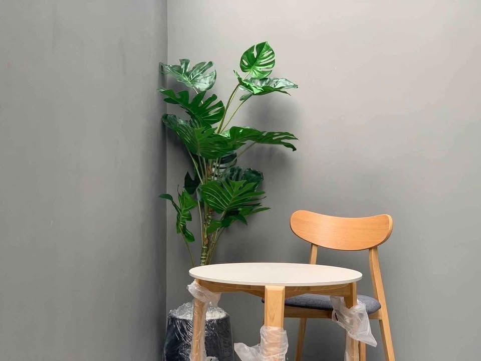 uploads/224782b1-cf00-4933-b11b-a670474fdf77/86b0149c-ab70-4f9a-ae29-2039e2671cb7