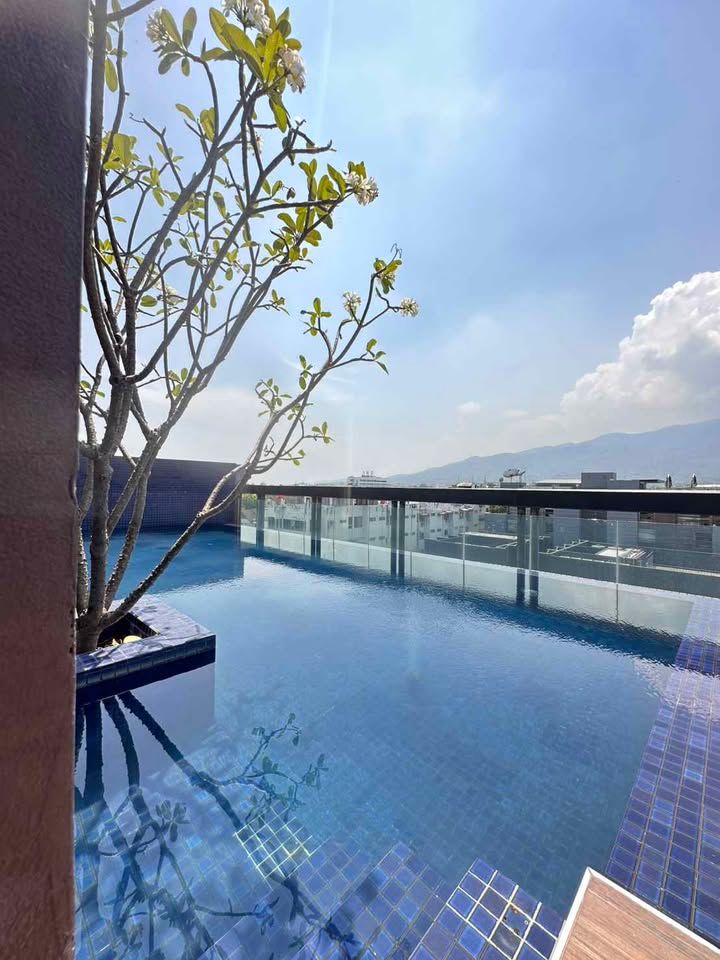 uploads/224782b1-cf00-4933-b11b-a670474fdf77/88858fd8-6bdb-4c76-8c84-65d05e72591b