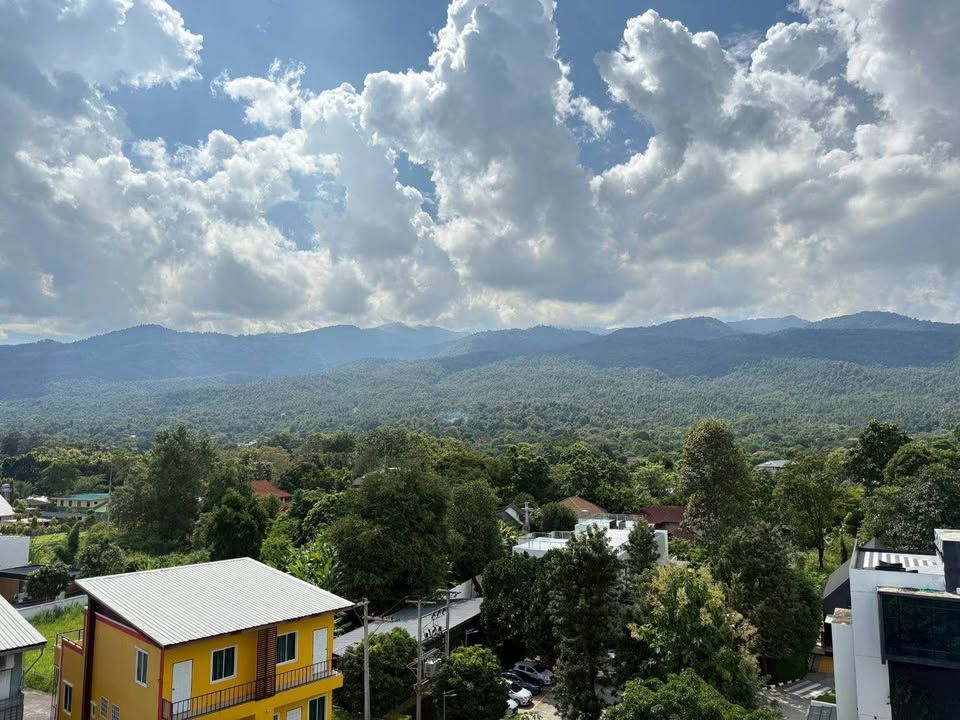 uploads/224782b1-cf00-4933-b11b-a670474fdf77/8e4a7202-7d6b-49d1-b19d-07a6a7ec7ced