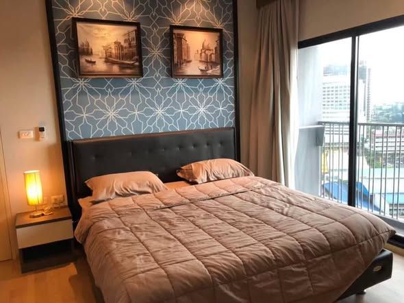 Noble Reveal - Image 4