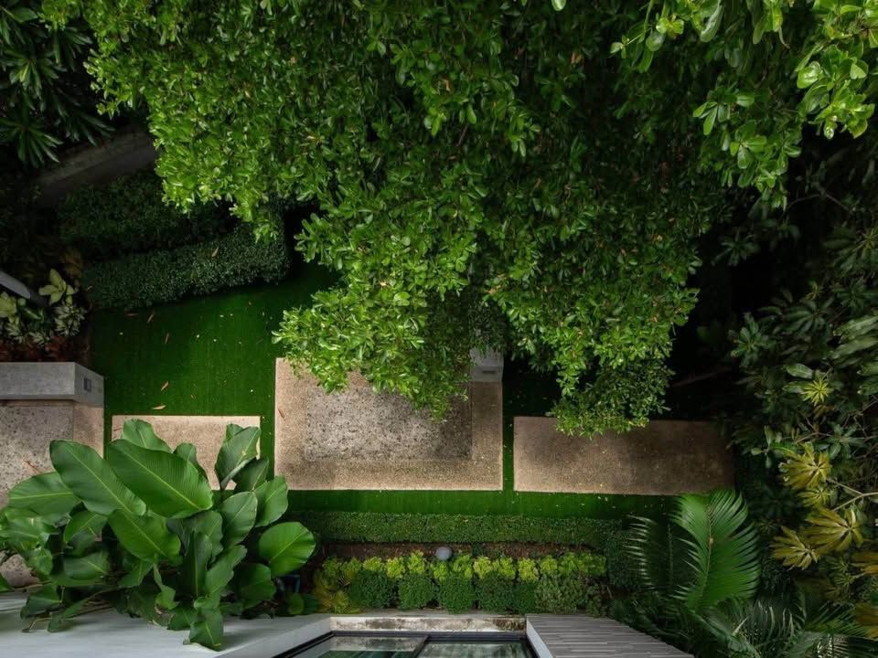 Blue Lagoon 2 - Image 13