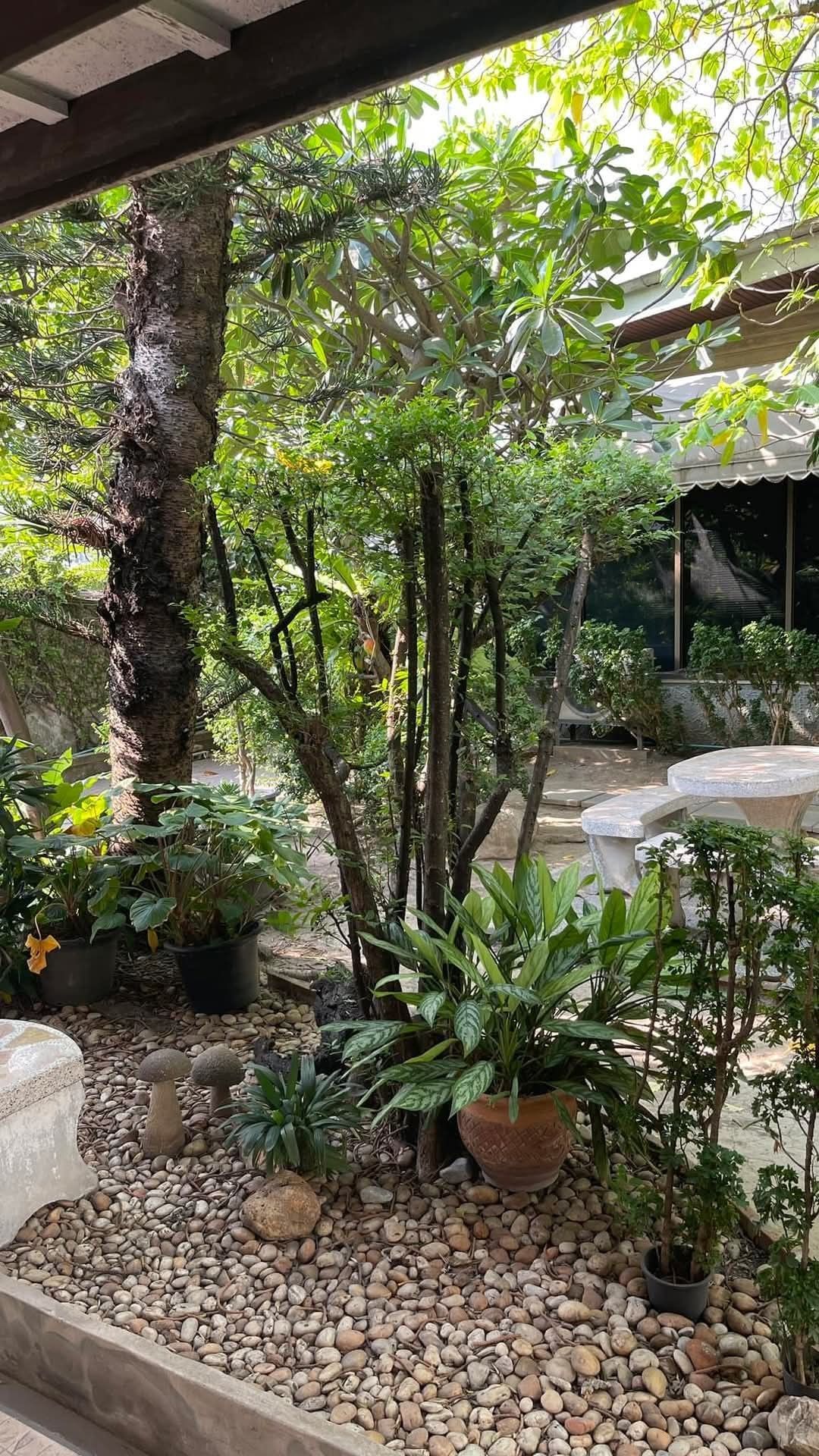 uploads/224782b1-cf00-4933-b11b-a670474fdf77/d5f138b1-f10e-4de3-bf91-d3eddb3348b9