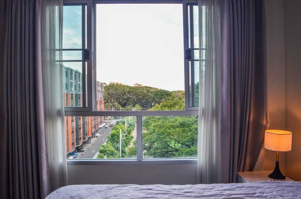 DCondo Nim - Image 5