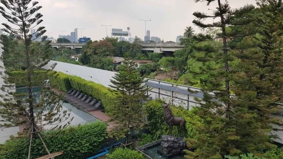 Arden Phatthanakan - Image 49