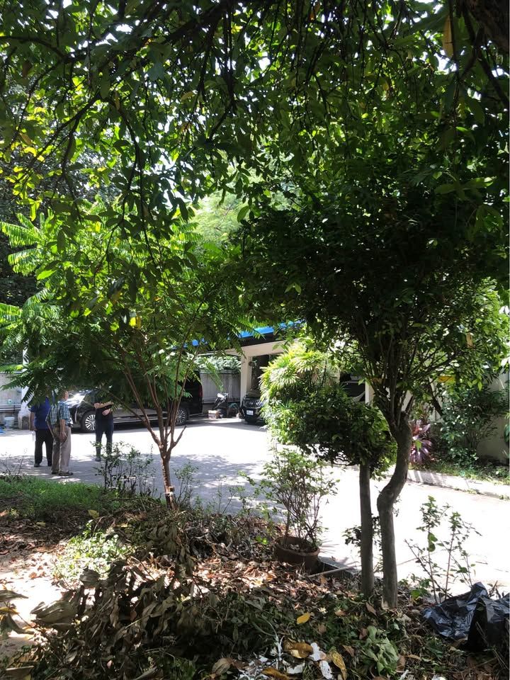 uploads/224782b1-cf00-4933-b11b-a670474fdf77/f425d372-f919-4129-8bc0-a343c89a4f7b