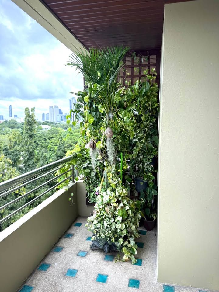 uploads/224782b1-cf00-4933-b11b-a670474fdf77/fb694a0c-1166-478e-b275-031986d93927