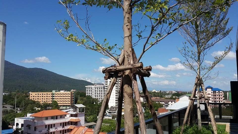 uploads/304ba21c-6952-4b83-8c84-72df86056d1b/1549b9ef-8e59-40ba-b0f8-5ea1f85fba81