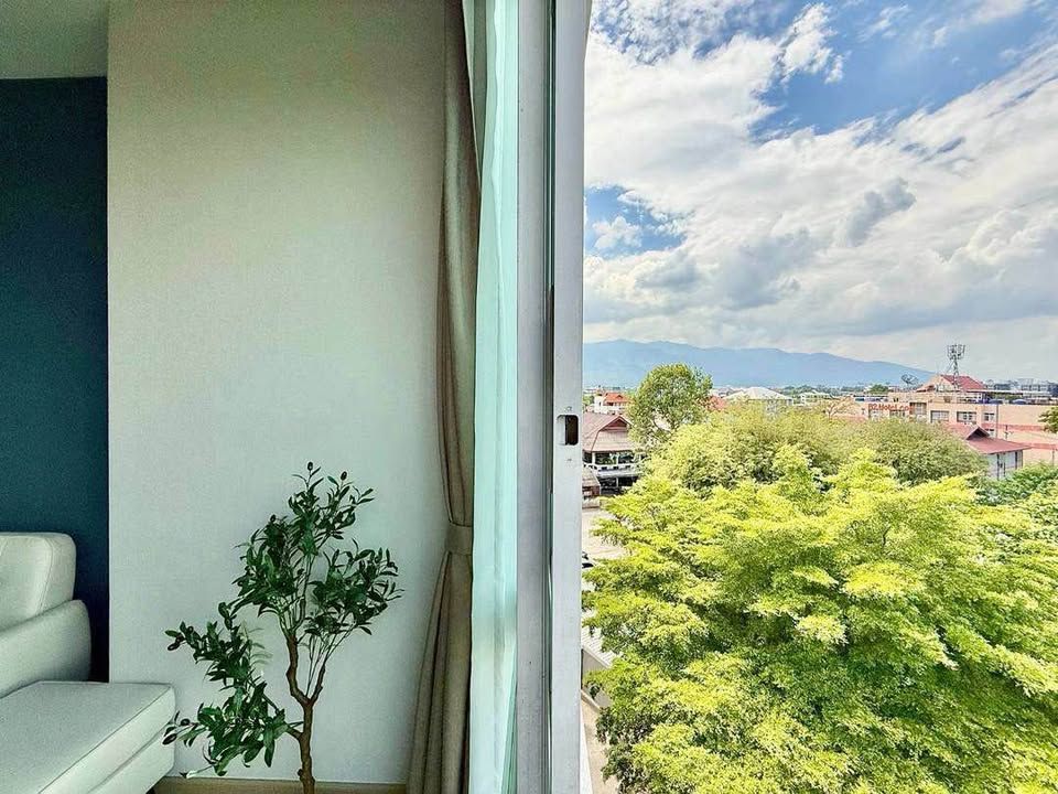 One Plus Mahidol - Image 9