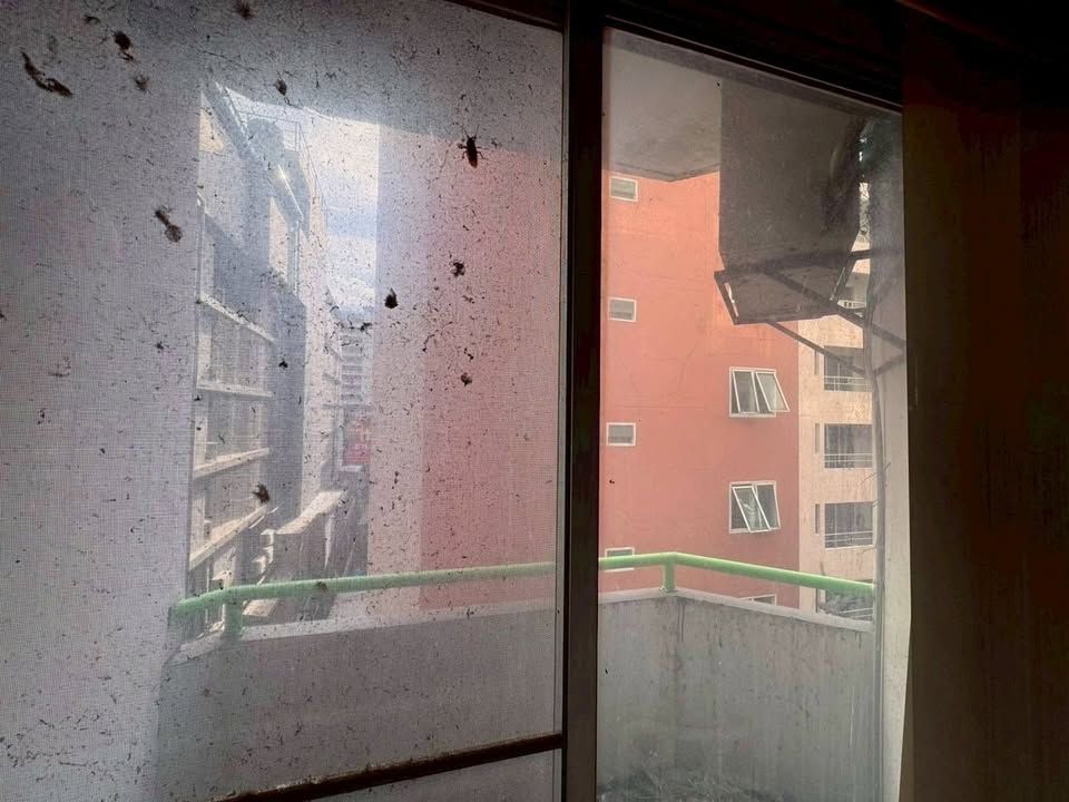 uploads/304ba21c-6952-4b83-8c84-72df86056d1b/4605de06-449b-48f4-b824-10115bcf28c4