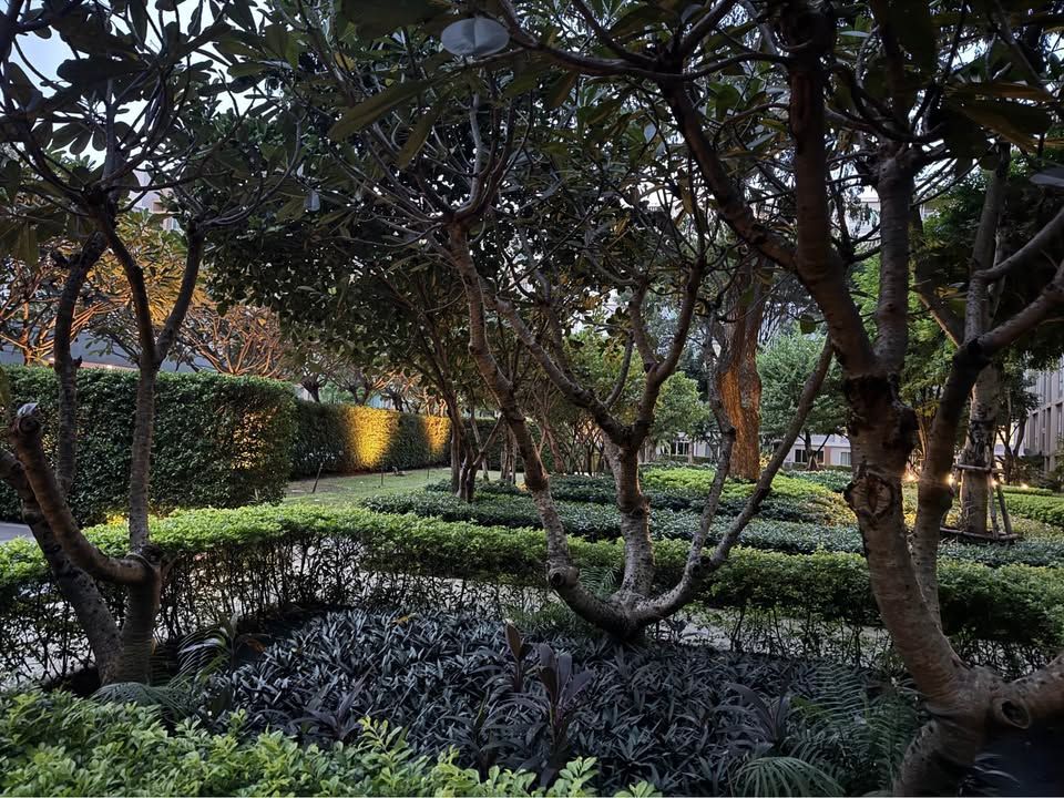 uploads/304ba21c-6952-4b83-8c84-72df86056d1b/64bae771-ba0b-4f24-9bf8-167db90b1cb8