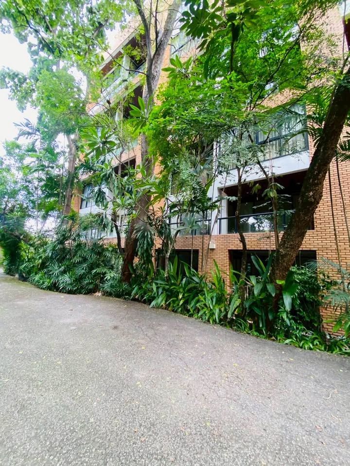 uploads/304ba21c-6952-4b83-8c84-72df86056d1b/673f912f-d255-4105-aca8-2709aac7afeb