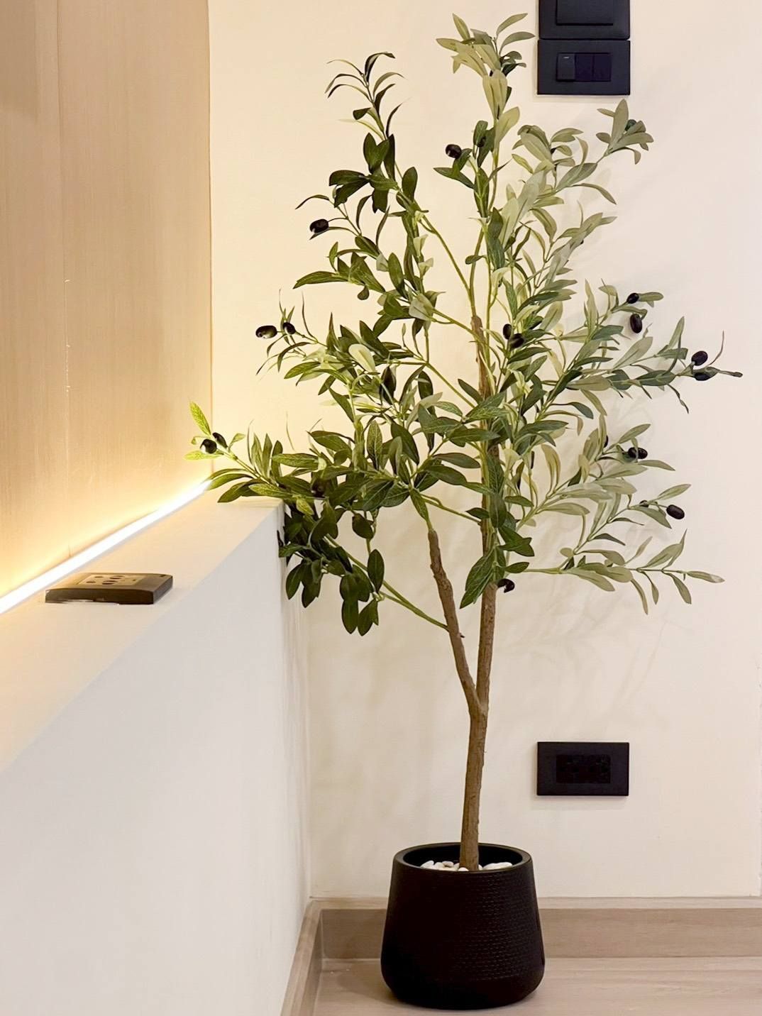 uploads/304ba21c-6952-4b83-8c84-72df86056d1b/838ef5b5-8c23-4d9b-9867-9e04304ff346