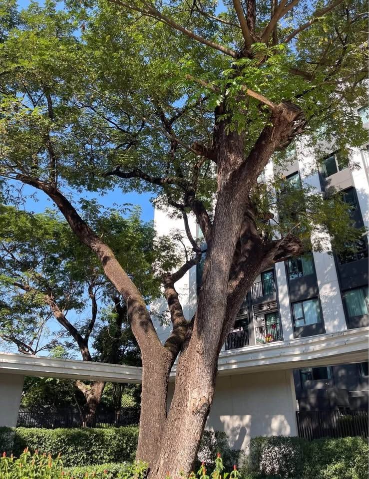 uploads/304ba21c-6952-4b83-8c84-72df86056d1b/c2787680-cd17-4960-8fd3-2cf7b1085461