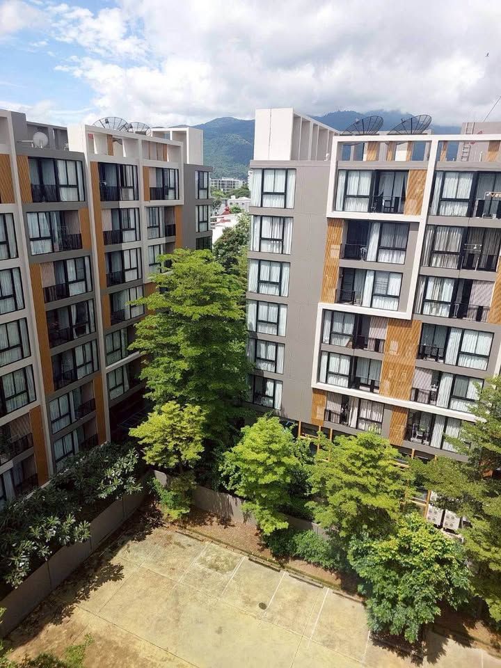 Palm Springs Nimman Royal - Image 15