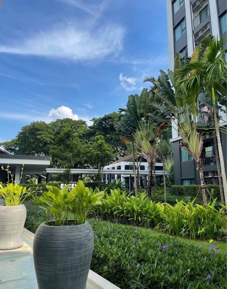 uploads/304ba21c-6952-4b83-8c84-72df86056d1b/e9e850ed-3551-4ce8-b844-1aefffef95dc