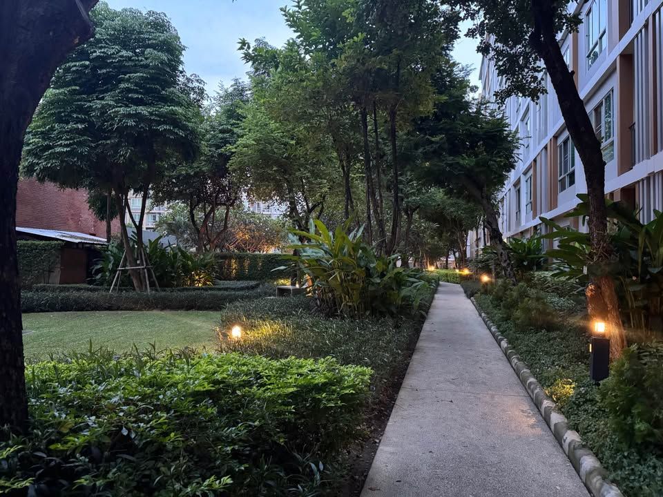 uploads/304ba21c-6952-4b83-8c84-72df86056d1b/f980a572-d45d-40c2-8e06-07e6cc3bfaca