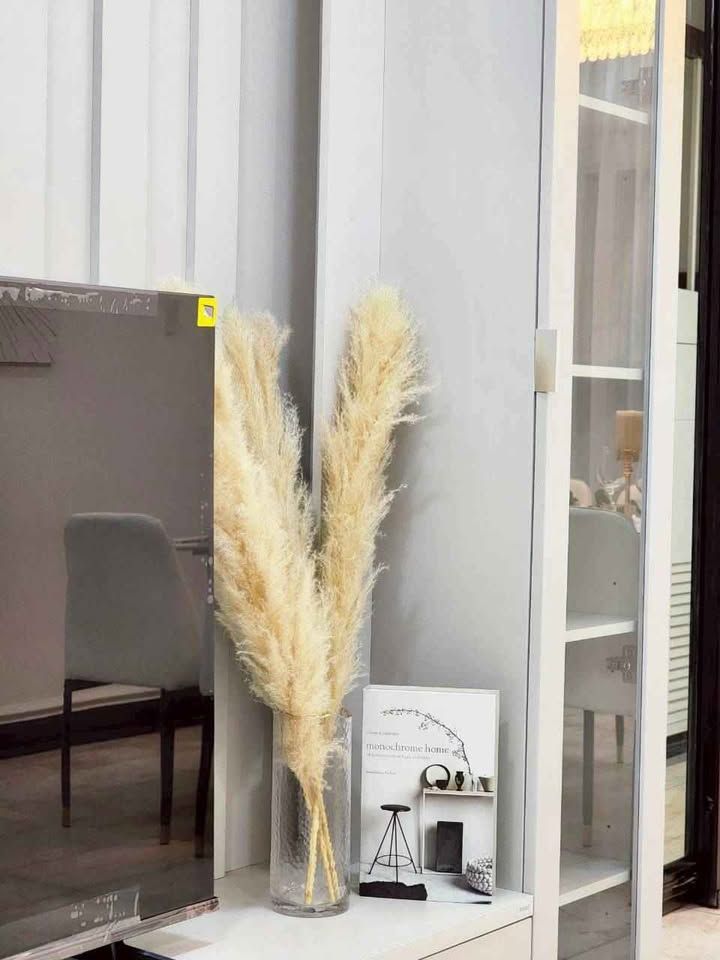 uploads/3efcf3ff-14c0-49cd-a97d-c18a86e0c28f/014d0d54-8999-488f-9f61-b698123fb908