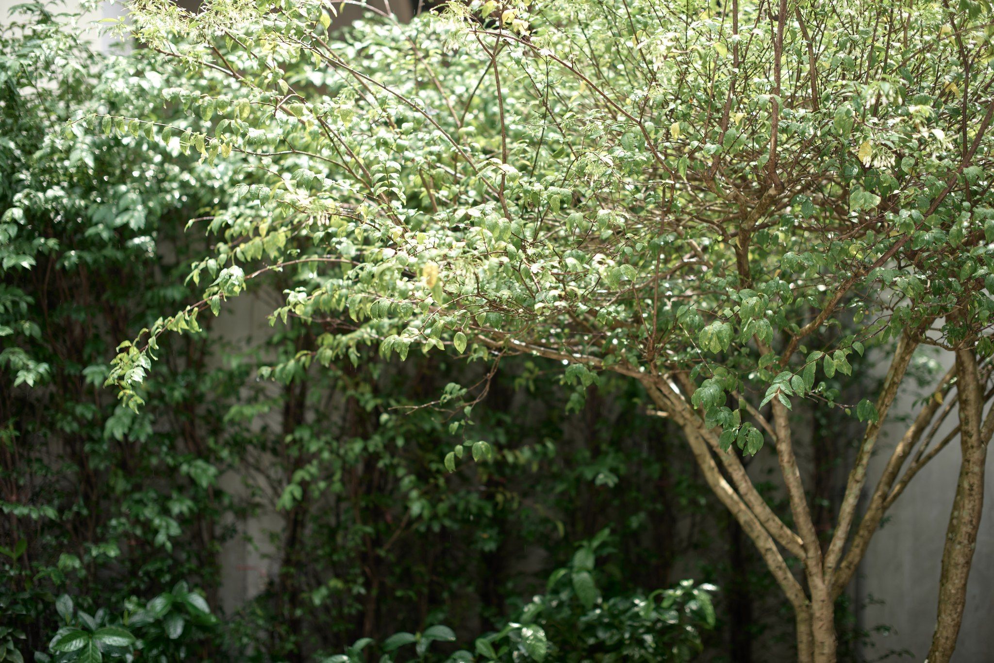 uploads/3efcf3ff-14c0-49cd-a97d-c18a86e0c28f/15a5c210-84d1-4521-8152-4df16891a37d