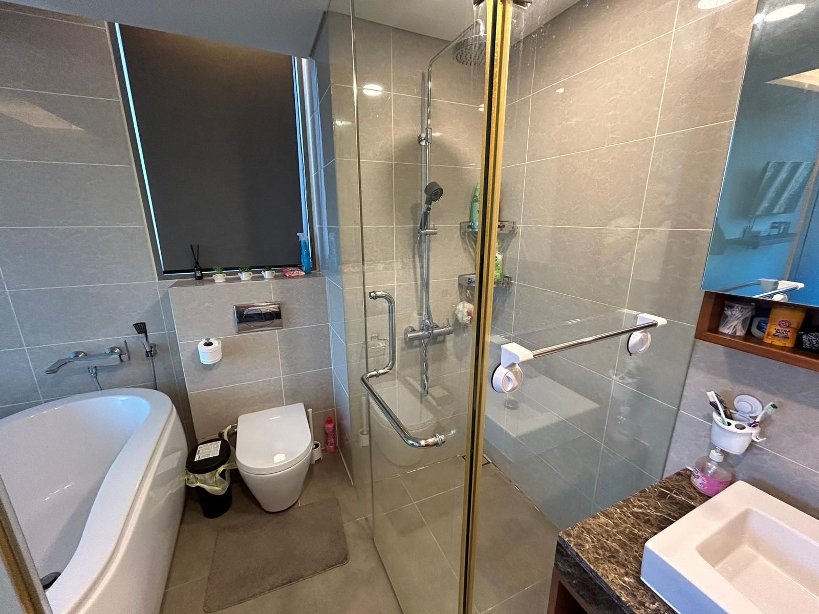 Siamese Thirty Nine - Image 15