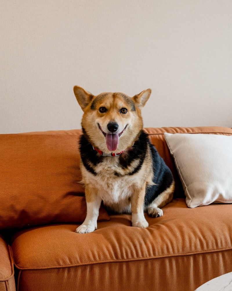 uploads/3efcf3ff-14c0-49cd-a97d-c18a86e0c28f/1ecf0069-fd2c-43ed-85bf-2a1838621d78