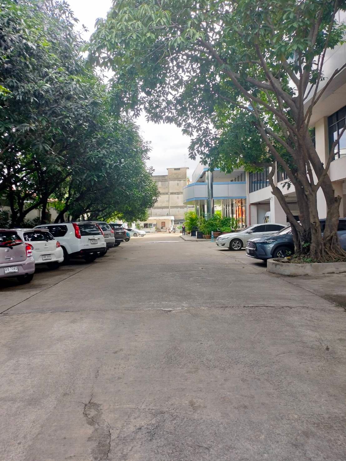 uploads/3efcf3ff-14c0-49cd-a97d-c18a86e0c28f/2534c0a3-90a9-4eed-86b2-152ae4f40489