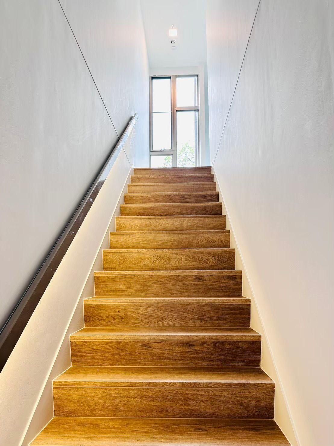 VIVE Rama 9 - Image 12