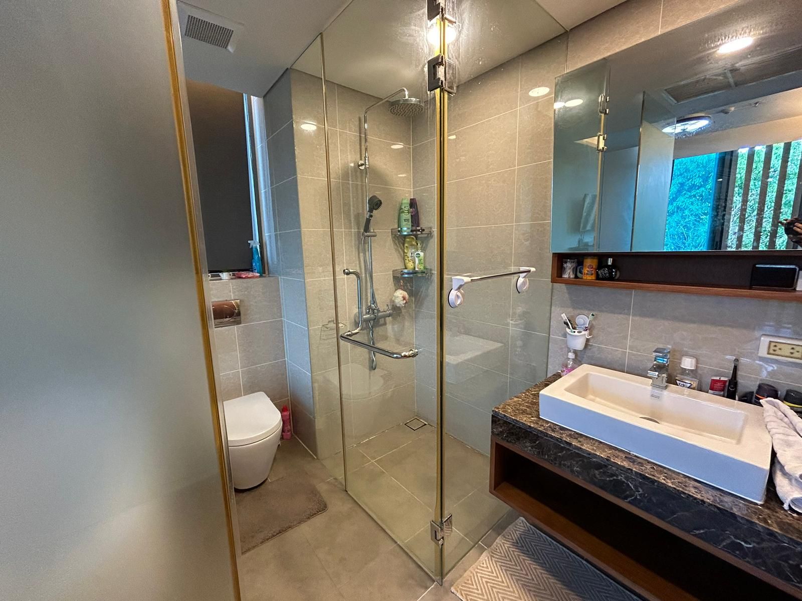 Siamese Thirty Nine - Image 17