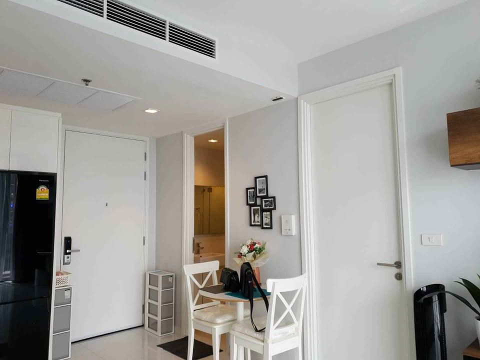 Nara 9 by Eastern Star - Image 4