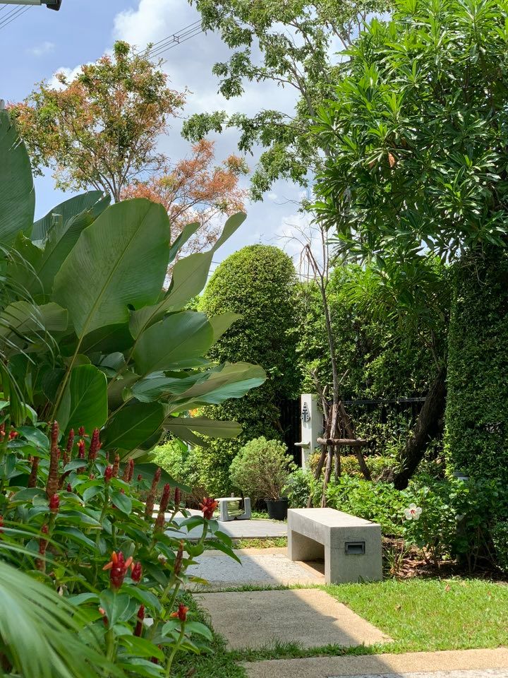 Blue Lagoon 2 - Image 13