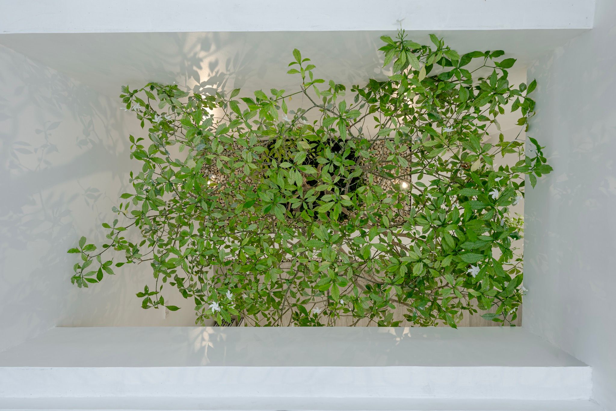 uploads/3efcf3ff-14c0-49cd-a97d-c18a86e0c28f/544b1b63-9eca-4e9f-8d91-9f998f499318