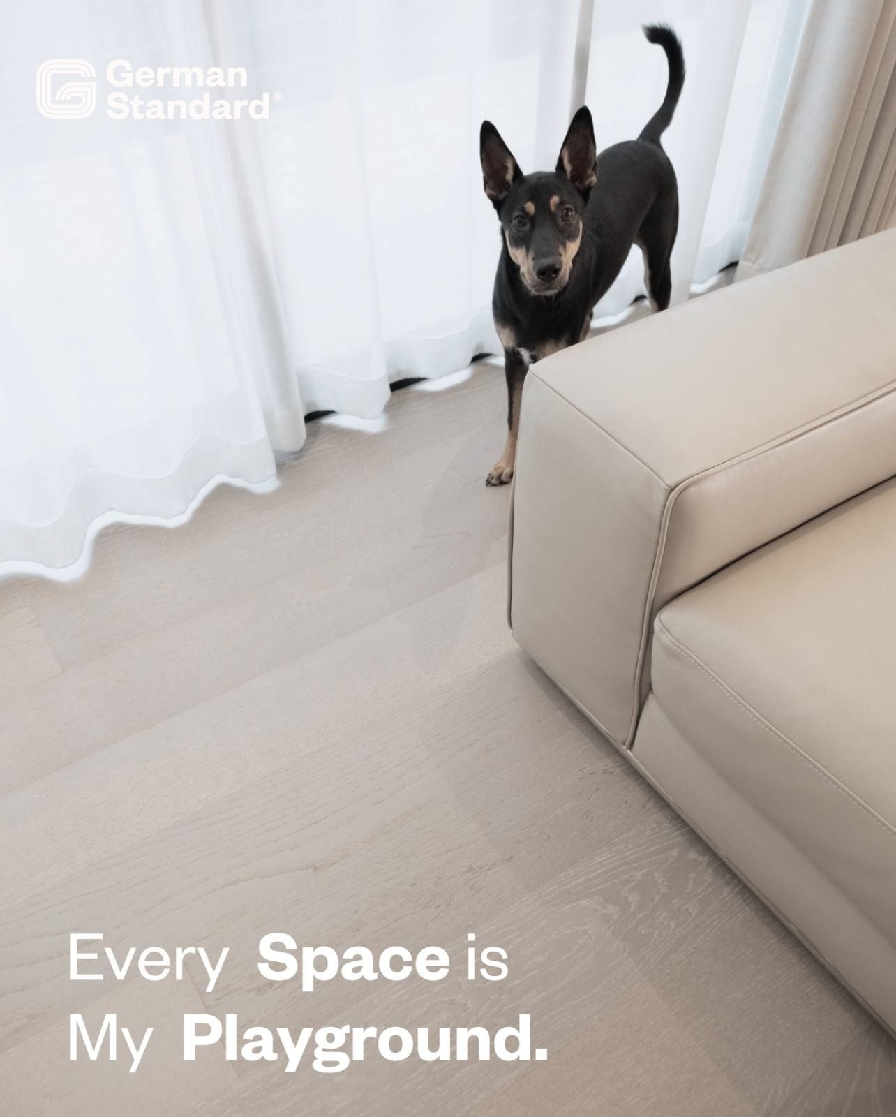 5 卧室 独立房屋 出租 在  - Image 32