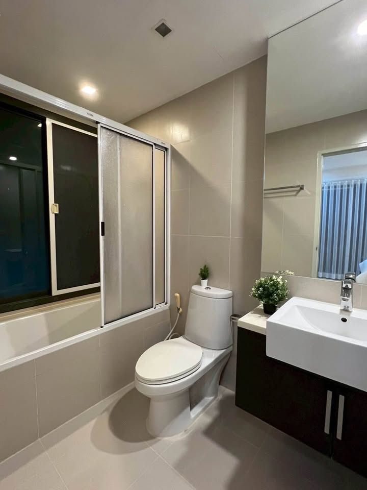 Noble Solo - Image 8