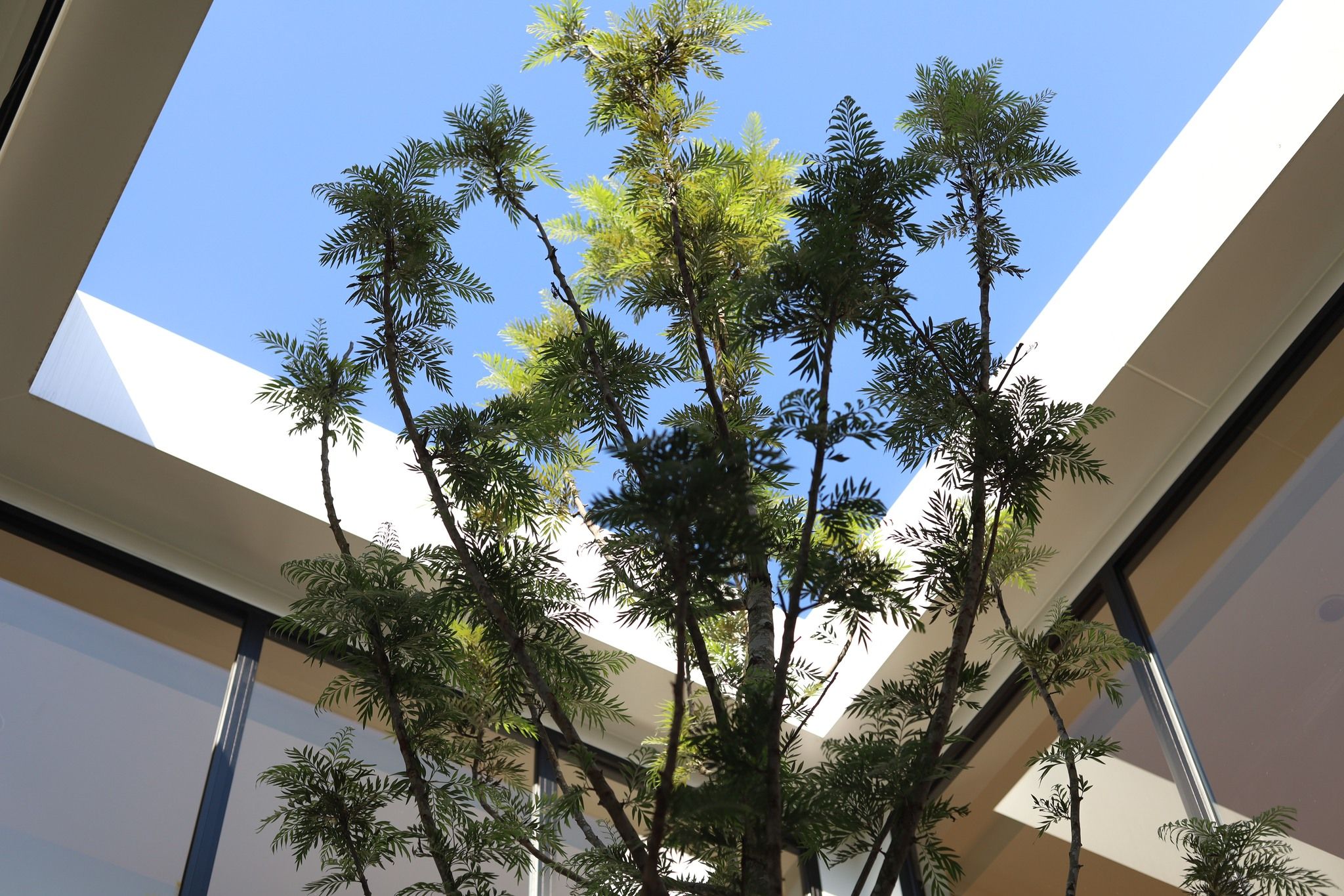 uploads/3efcf3ff-14c0-49cd-a97d-c18a86e0c28f/6da3ad7c-a10e-4057-83bd-3aa54ad5c62a