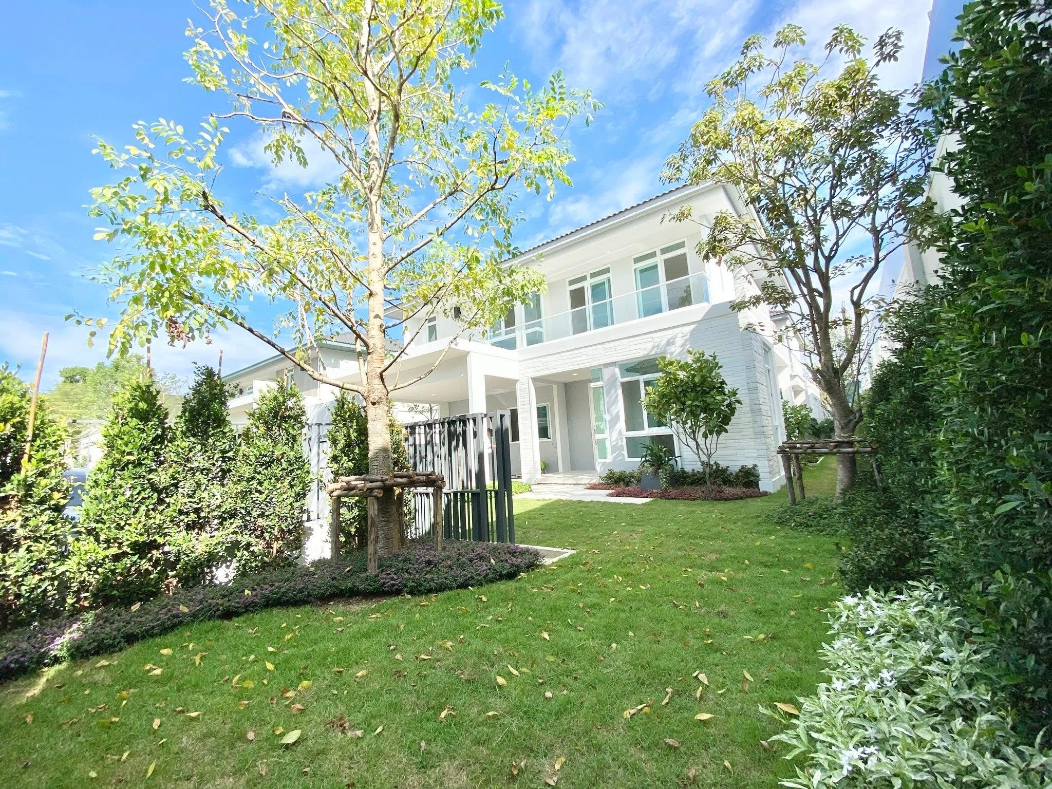 Mantana Bangna-Wongwaen - Image 1