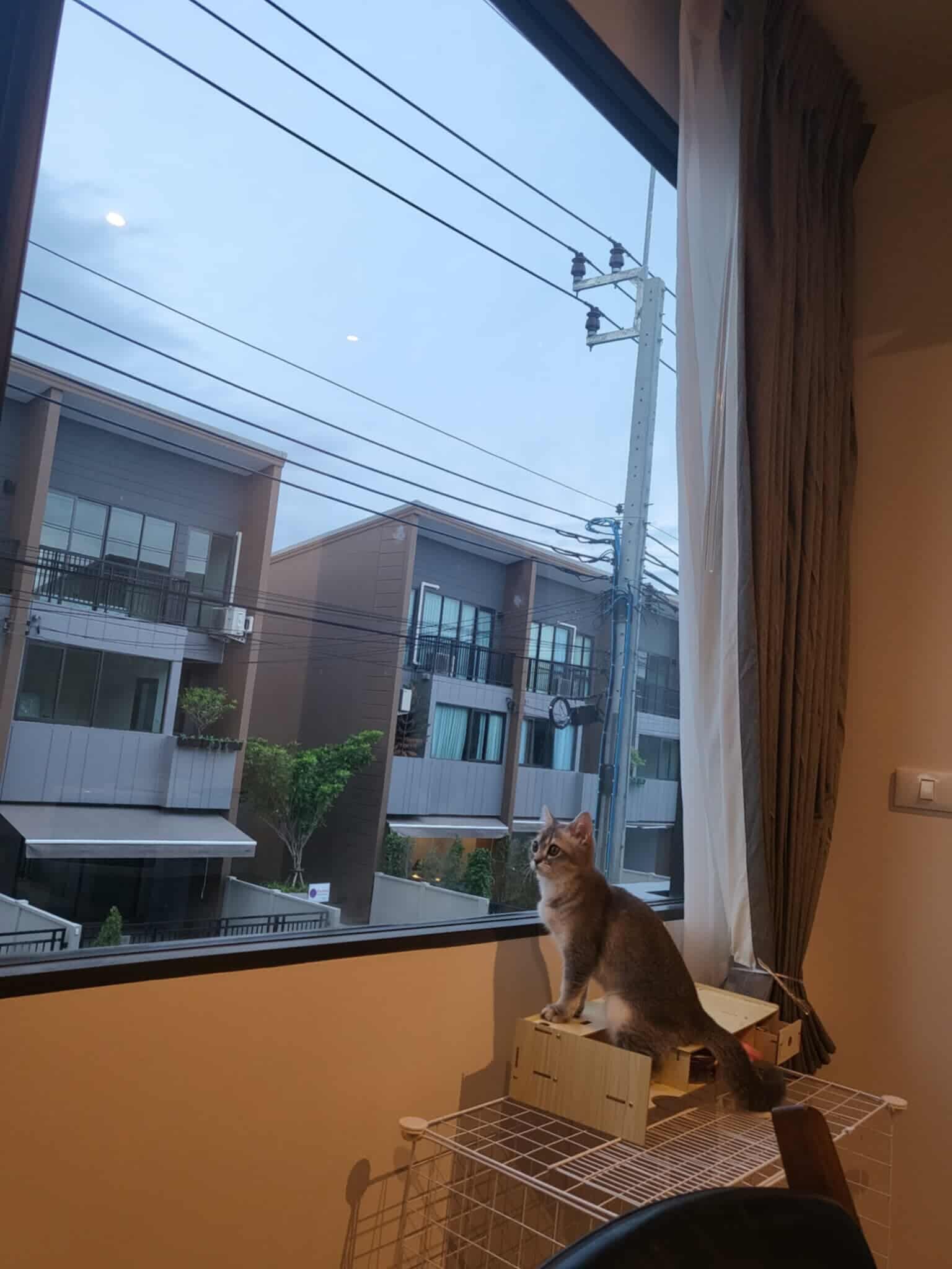 uploads/3efcf3ff-14c0-49cd-a97d-c18a86e0c28f/6f67d6a7-48d9-40c2-a2da-64c091c1dacb