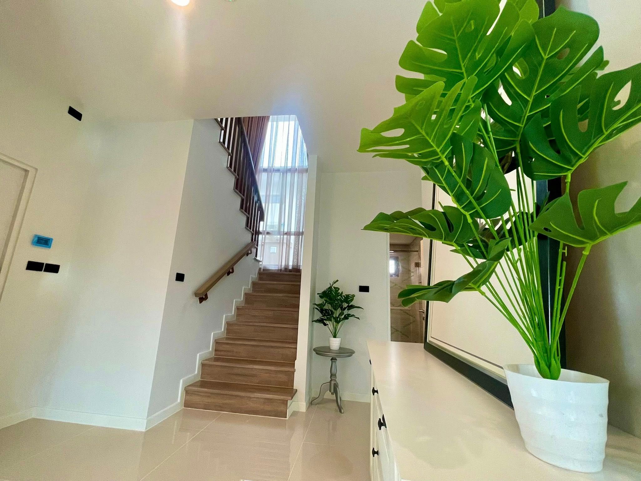 uploads/3efcf3ff-14c0-49cd-a97d-c18a86e0c28f/73e640dc-28f7-46a2-883e-015b0deb0de6