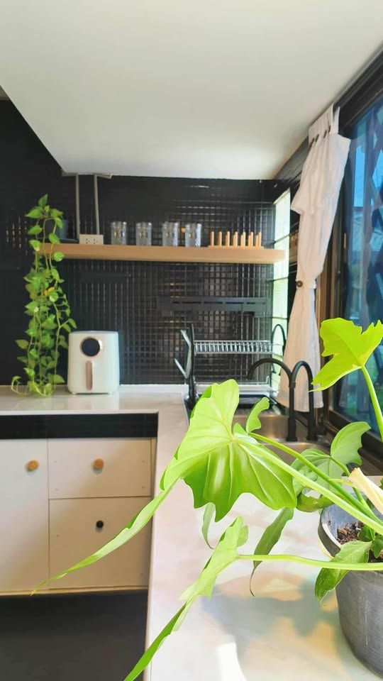 3 Bedroom House For Rent in Pathum Wan, Pathum Wan, Bangkok - Image 5