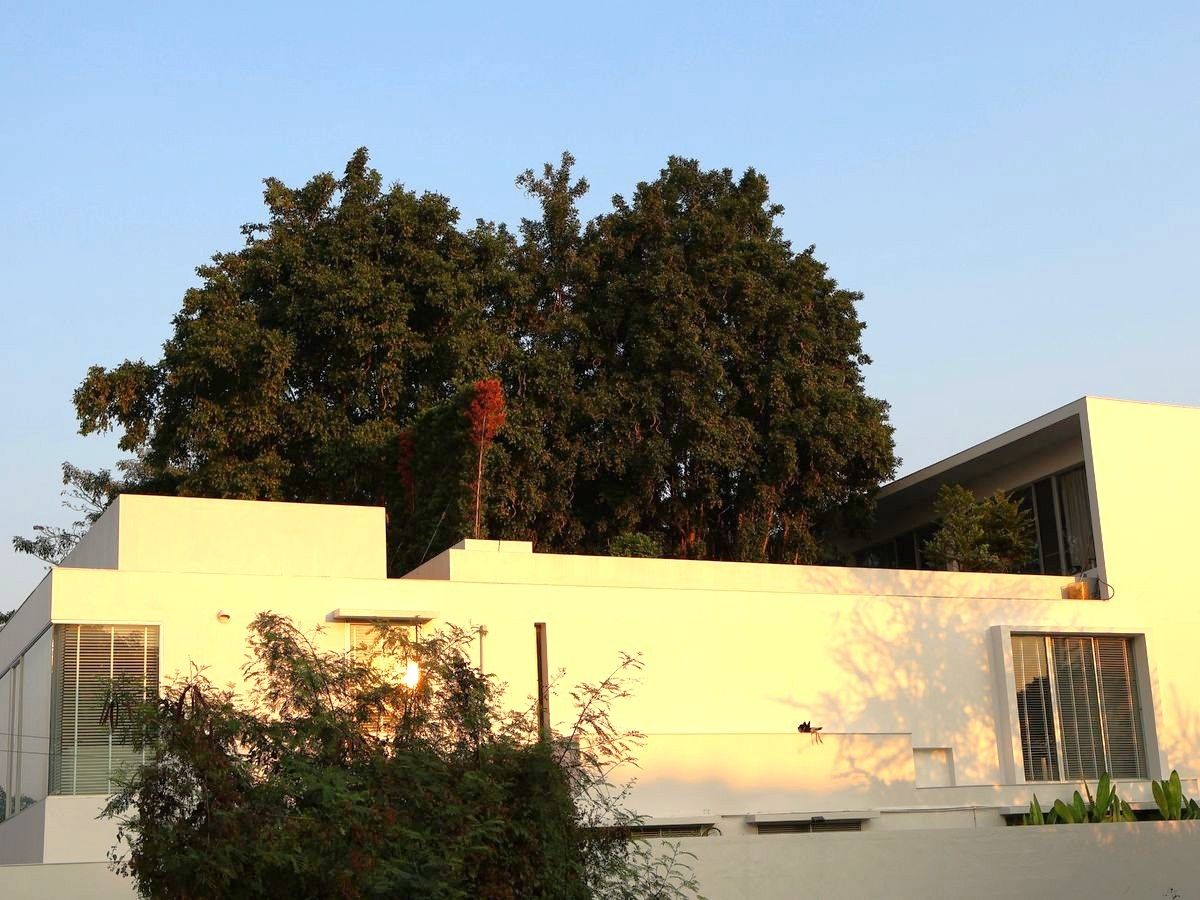 uploads/3efcf3ff-14c0-49cd-a97d-c18a86e0c28f/84ba9a7d-278c-4320-854e-7fbed5ef8eeb