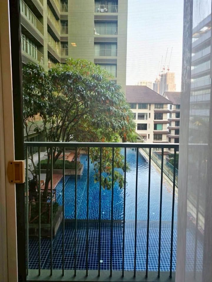 Noble Solo - Image 9