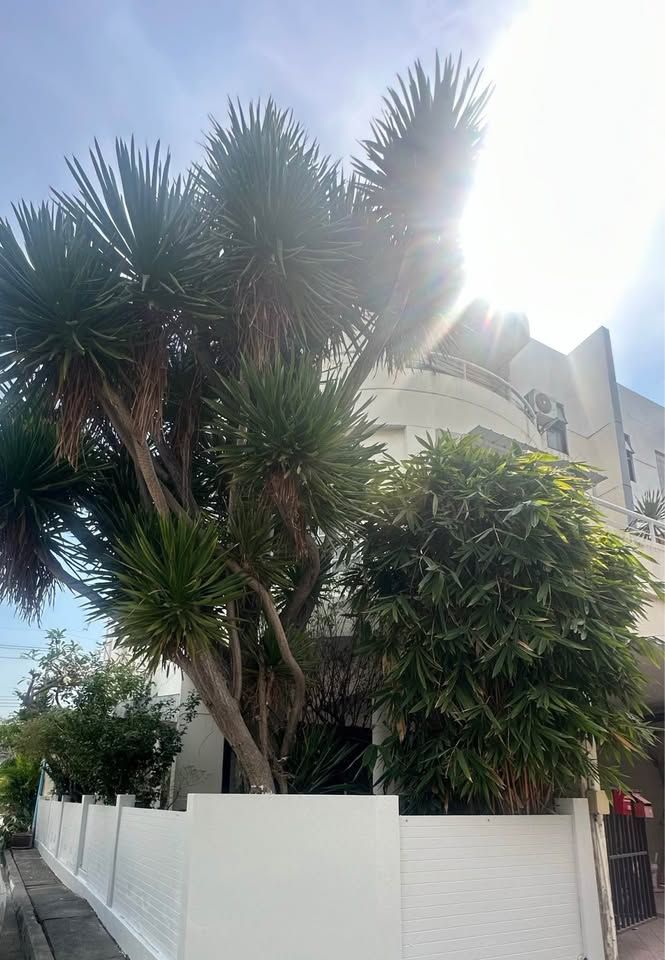 uploads/3efcf3ff-14c0-49cd-a97d-c18a86e0c28f/8a390808-4392-4081-87ec-83a935736eaa