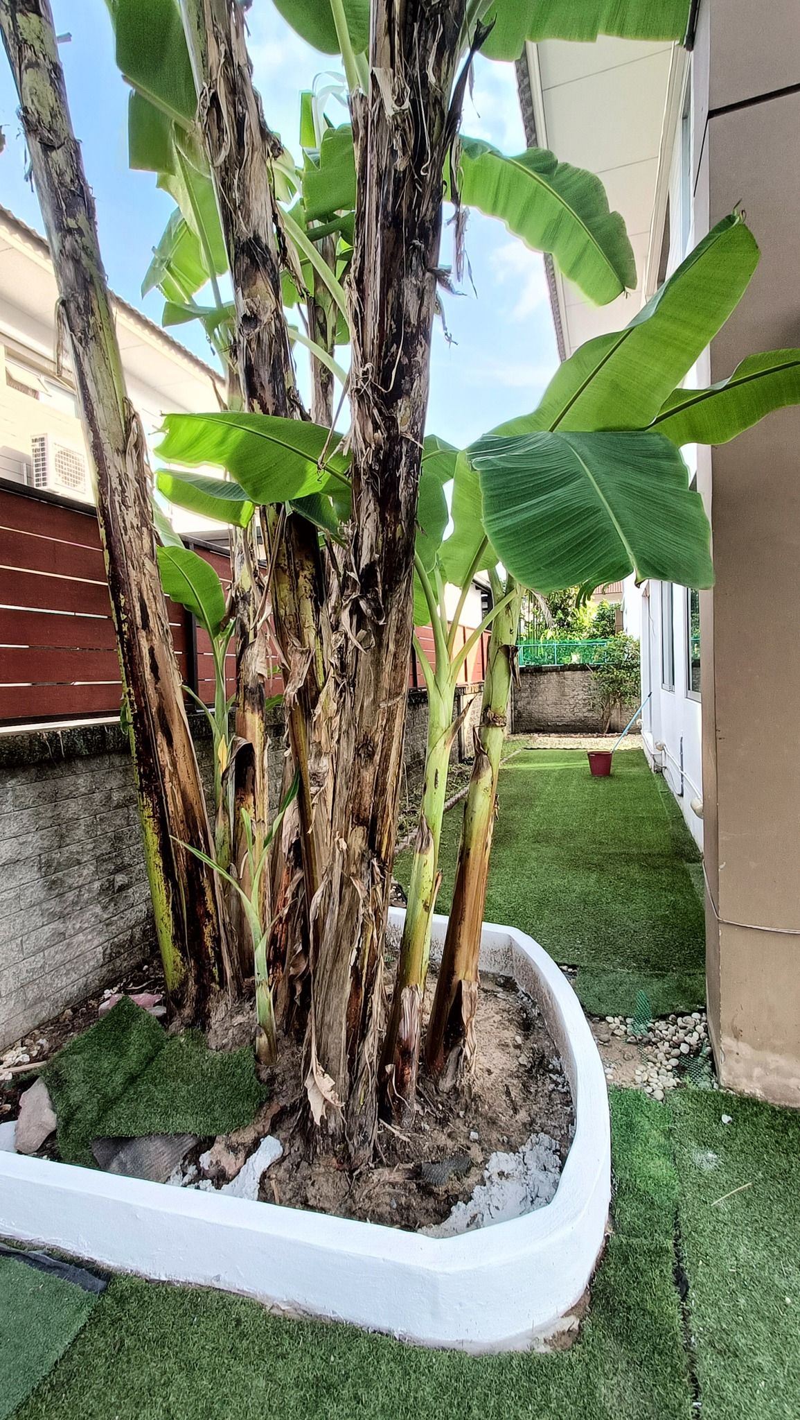 uploads/3efcf3ff-14c0-49cd-a97d-c18a86e0c28f/8b1bfaa4-e723-409e-9fee-95f3ba4710e2