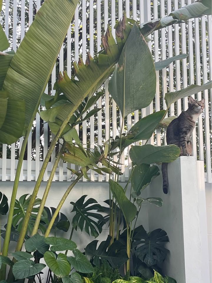 uploads/3efcf3ff-14c0-49cd-a97d-c18a86e0c28f/93f1bc17-6ea7-40af-aee6-1cf0355342b5